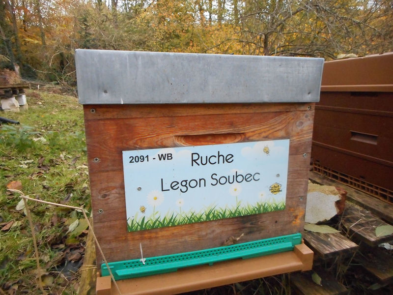 La ruche Legon Soubec